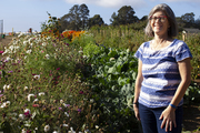 Photo of Lisa Schaechter